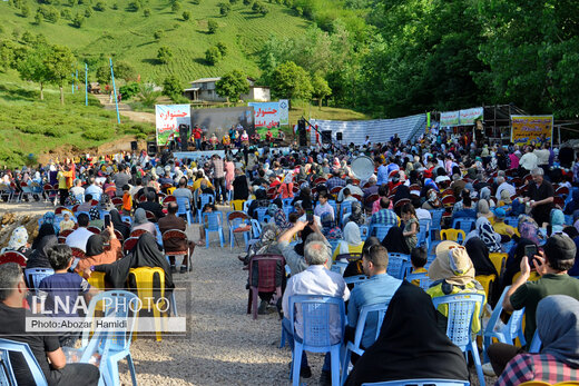 جشنواره چای در املش گیلان