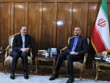 آمادگی وزارت خارجه برای همکاری بیشتر با مجلس