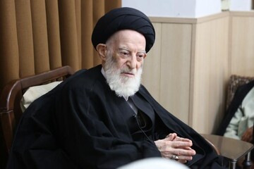 ابراز تاسف آیت الله شبیری زنجانی از بی توجهی به ارتقای علمی در علوم حوزوی/ کسی که روحانی است نباید دنبال حواشی یا فعالیت اقتصادی برود