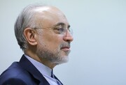 دیپلماسی علمی بدون هراس امنیتی؛ گفت‌وگو با علی اکبر صالحی