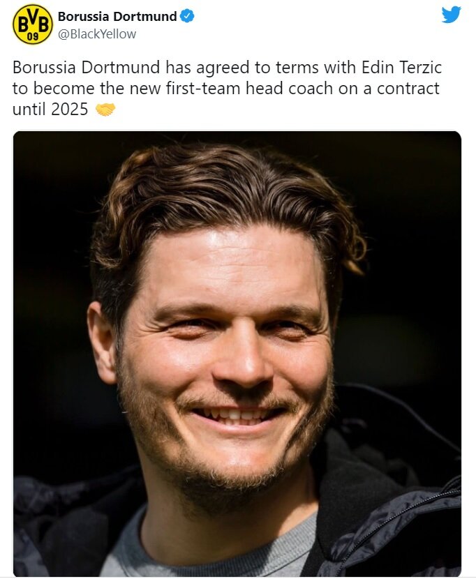 رسمی؛سرمربی جدید زنبورها معرفی شد/عکس