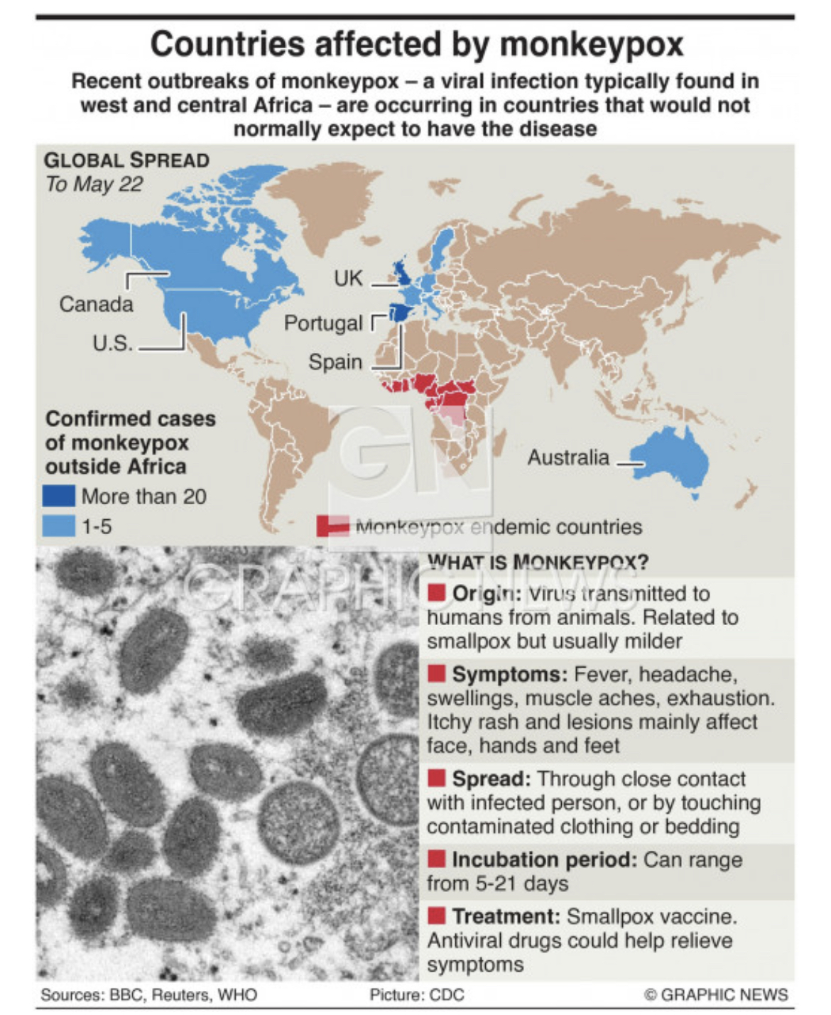 موارد ابتلا به آبله میمون در کدام کشورها تأیید شده است؟/ اینفوگرافیک