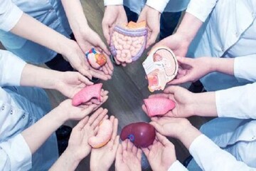 بیش از ۸۵۰ خوزستانی چشم انتظار پیوند عضو هستند
