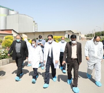 استان قزوین در تولید غذای کشور نقش اساسی دارد