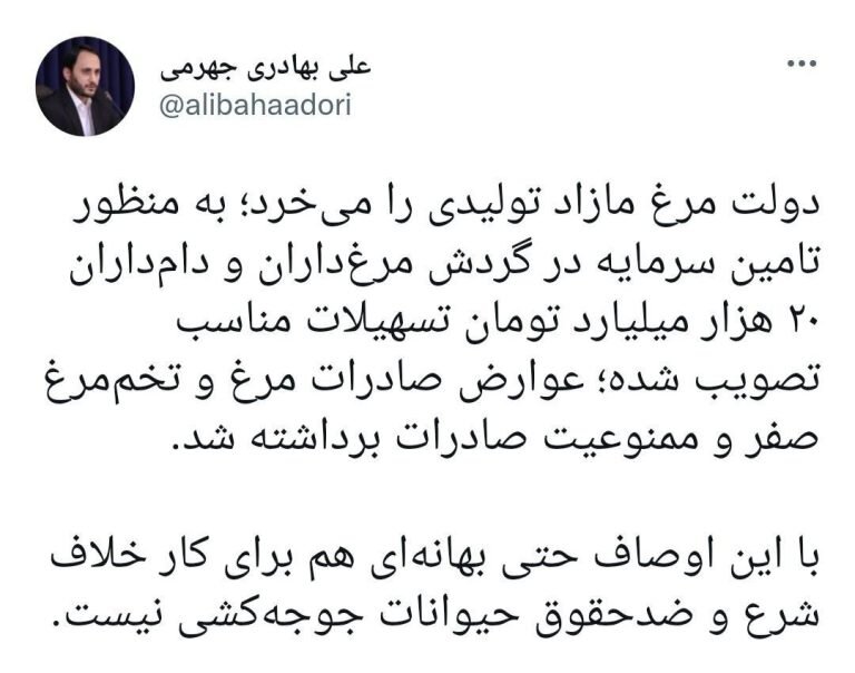 انتقاد سخنگوی دولت از معدوم کردن «خلاف شرع و ضدحقوق حیوانات» جوجههای یک روزه