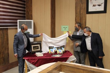 آئین رونمایی از کتاب "تجزیه و تحلیل حوادث شبکه برق استان سمنان"