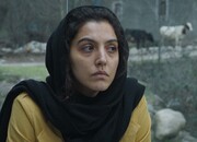 بازیگران فیلمی که تنها نماینده ایران در جشنواره کارلووی واری است/ عکس