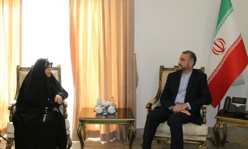 دیدار سفیر ایران در فنلاند با وزیر امور خارجه  دیدار سفیر ایران در فنلاند با وزیر امور خارجه