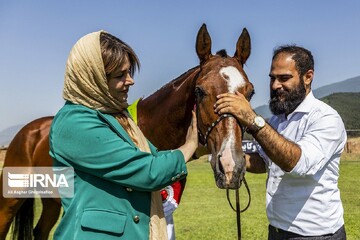 چهارمین جشنواره زیبایی اسب اصیل ترکمن