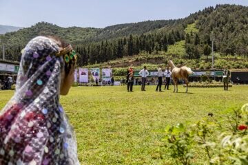 چهارمین جشنواره زیبایی اسب اصیل ترکمن