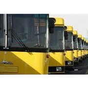 ۲۰ دستگاه اتوبوس به ناوگان حمل ونقل عمومی شهرکرد اضافه می شود