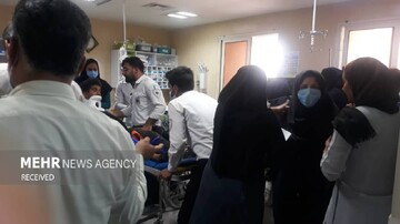 باغ‌وحش اندونزی، خشم دامنگیر اورانگوتان زندانی