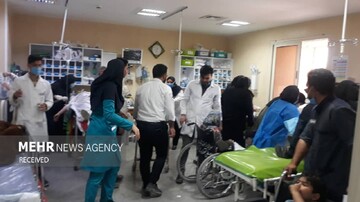 باغ‌وحش اندونزی، خشم دامنگیر اورانگوتان زندانی