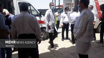 باغ‌وحش اندونزی، خشم دامنگیر اورانگوتان زندانی