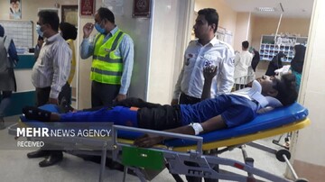 باغ‌وحش اندونزی، خشم دامنگیر اورانگوتان زندانی