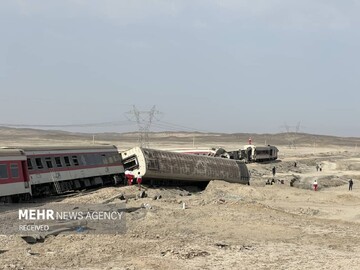 باغ‌وحش اندونزی، خشم دامنگیر اورانگوتان زندانی