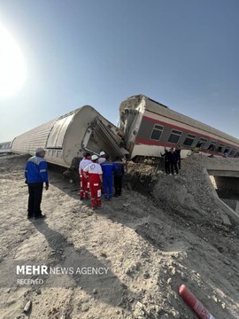 باغ‌وحش اندونزی، خشم دامنگیر اورانگوتان زندانی
