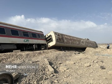 باغ‌وحش اندونزی، خشم دامنگیر اورانگوتان زندانی