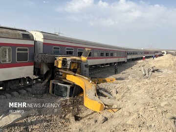 باغ‌وحش اندونزی، خشم دامنگیر اورانگوتان زندانی