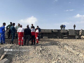 باغ‌وحش اندونزی، خشم دامنگیر اورانگوتان زندانی