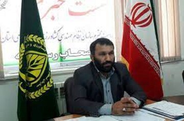 طرح تولید و اشتغال مردم بنیان در بخش کشاورزی مازندران اجرا می شود