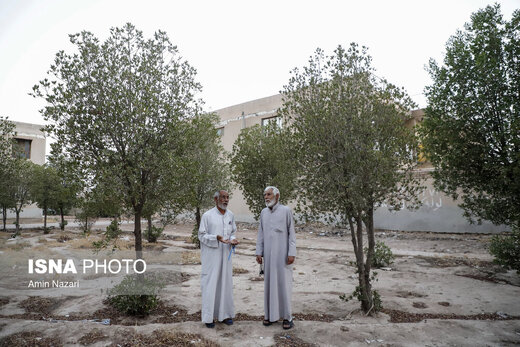 آوارگی در ساختمان عدالت