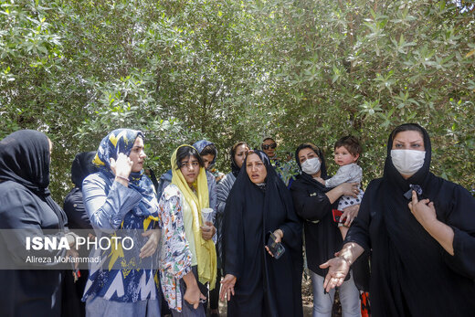 آوارگی در ساختمان عدالت