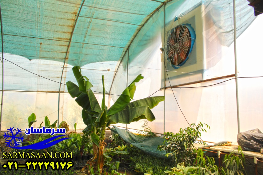 کولر گلخانه