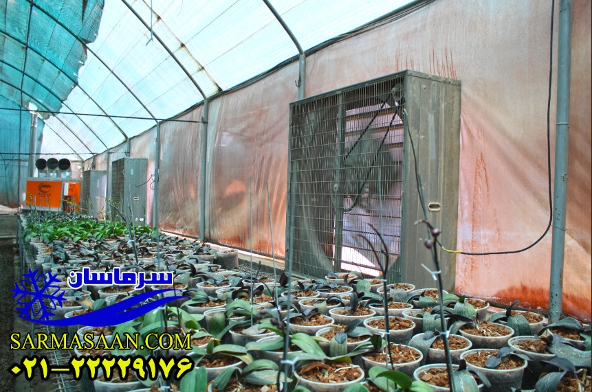 فن تهویه گلخانه