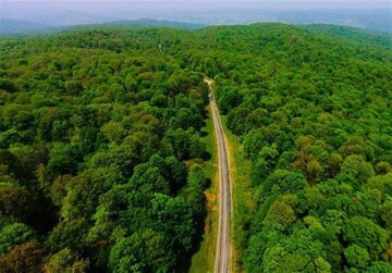 آتش‌سوزی در آبشار مصنوعی ناهارخوران گرگان