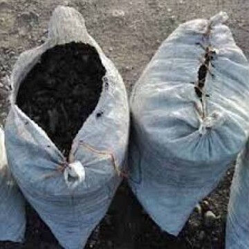 کشف ۳۸۰ کیلو گرم ذغال بلوط جنگلی قاچاق در لردگان