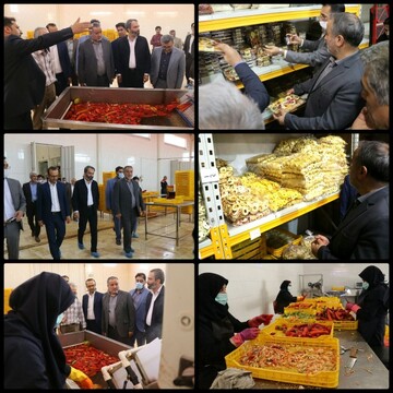 بازدید استاندار سمنان از یک شرکت تولیدی در شاهرود