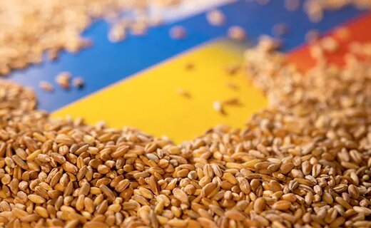 گرانی بیشتر مواد غذایی در راه است؟/ سهم اوکراین در تامین جهانی غذا