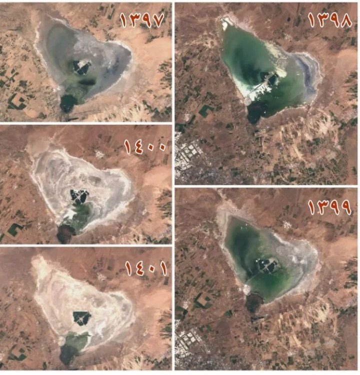 نفسهای سنگین تالابی که به پرندگان مهاجر جان میداد