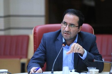 تولید مرغ سایز اولویت جهادکشاورزی است