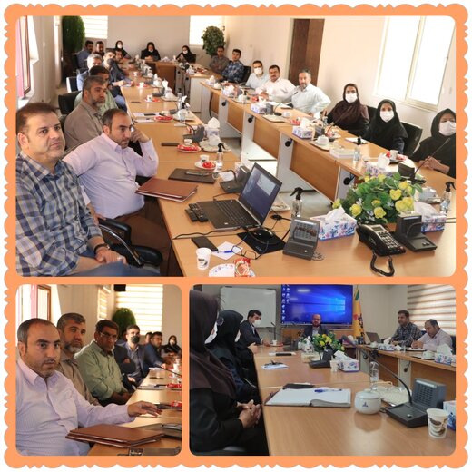 تمامی افراد جامعه در حفاظت از محیط زیست نقش دارند