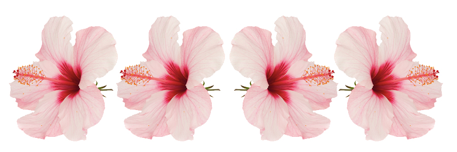 عصاره های گیاهی برای تقویت مو