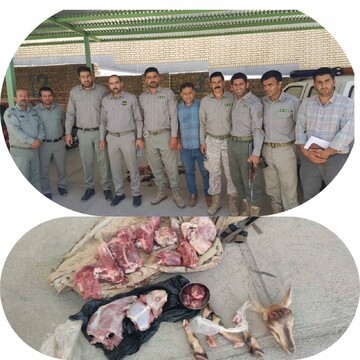 متخلفین شکار غیر مجاز بز وحشی در خرم آباد دستگیر شدند