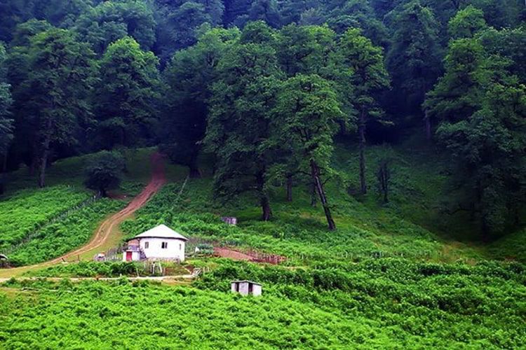 سفر به ماسال