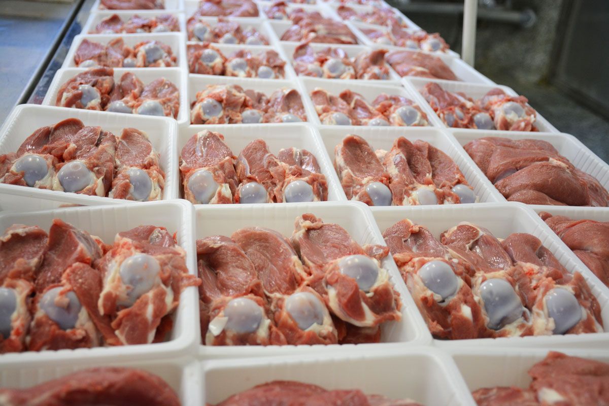 خرید آنلاین گوشت تازه و باکیفیت فقط با چند کلیک!!!