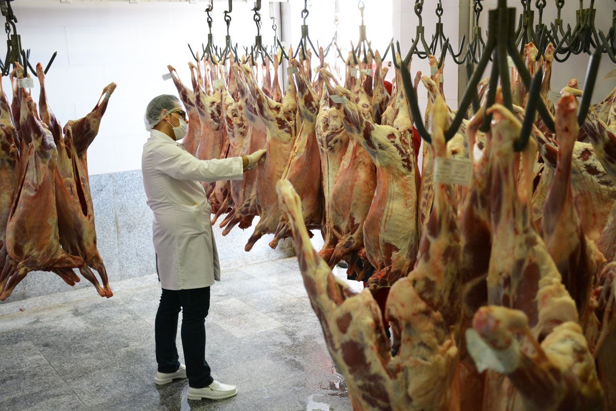 خرید آنلاین گوشت تازه و باکیفیت فقط با چند کلیک!!!