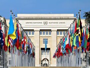 سازمان ملل: استرداد آسانژ به آمریکا نگرانی‌های مربوط به آزادی رسانه‌ها را افزایش می‌دهد