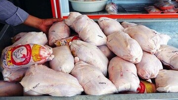 توقیف ۳۲ کارتن مرغ منجمد تاریخ مصرف گذشته در قشم
