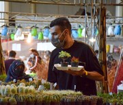 برگزاری نمایشگاه گل‌وگیاه و گیاهان دارویی در قزوین
