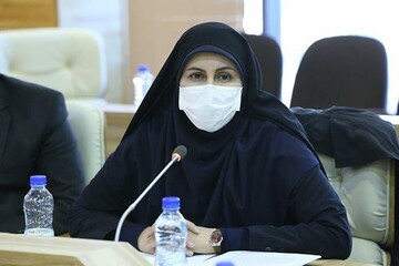 رسیدگی به شکایات مالیاتی لرستان در هیات ماده ۲۵۱ مکرر قانون مالیات‌های مستقیم
