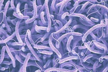 موردی از بیماری وبا در خرم آباد شناسایی نشد /  خوردن آب و غذای آلوده شایع ترین راه انتقال بیماری 