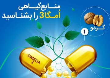 اینفوگرافیک | منابع گیاهی امگا۳ را بشناسید