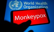 بیش از ۶۰۰۰ مورد آبله میمون در دنیا/ در دومین نشست اضطراری WHO چه گذشت؟