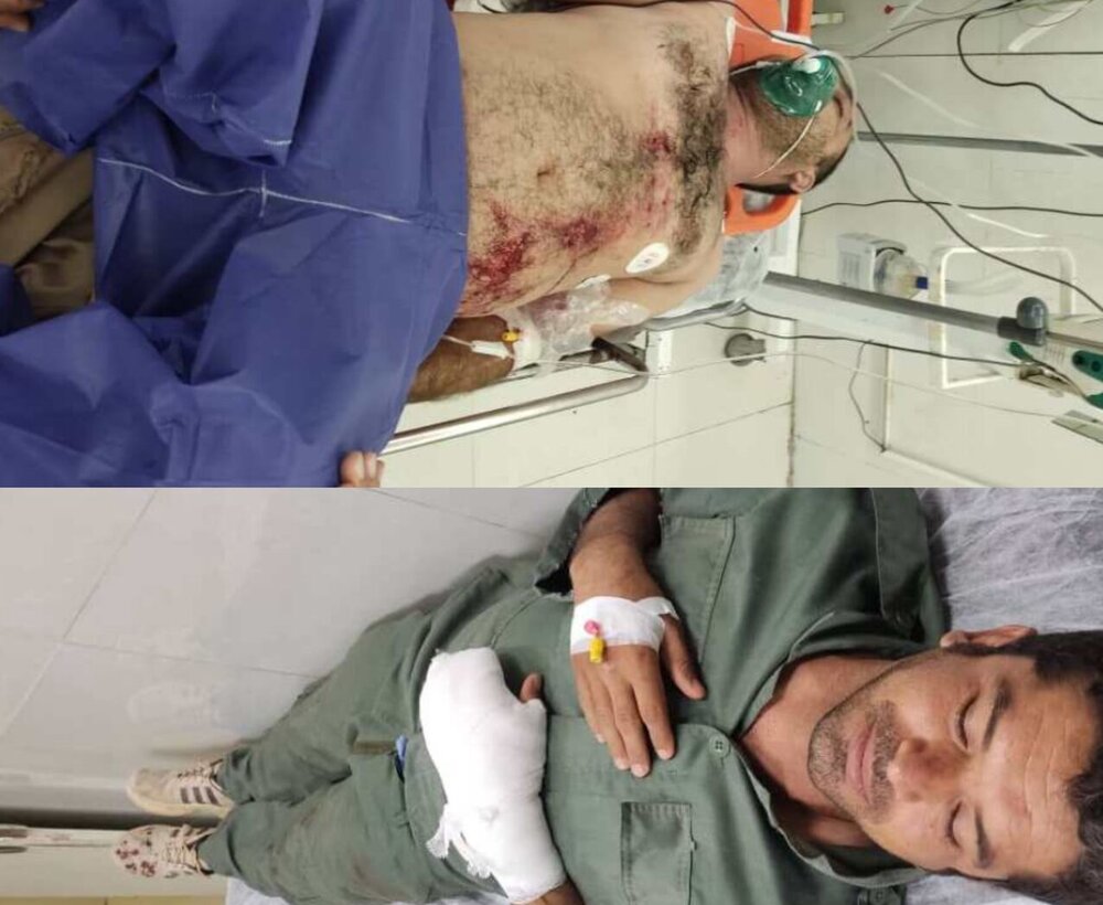 تیراندازی شکارچیان به محیطبان بوشهری