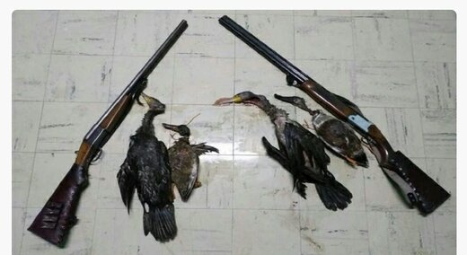 دستگیری ۵۸ متخلف شکار و صید از ابتدای سال ۱۴۰۱ دستگیری ۵۸ متخلف شکار و صید از ابتدای سال ۱۴۰۱